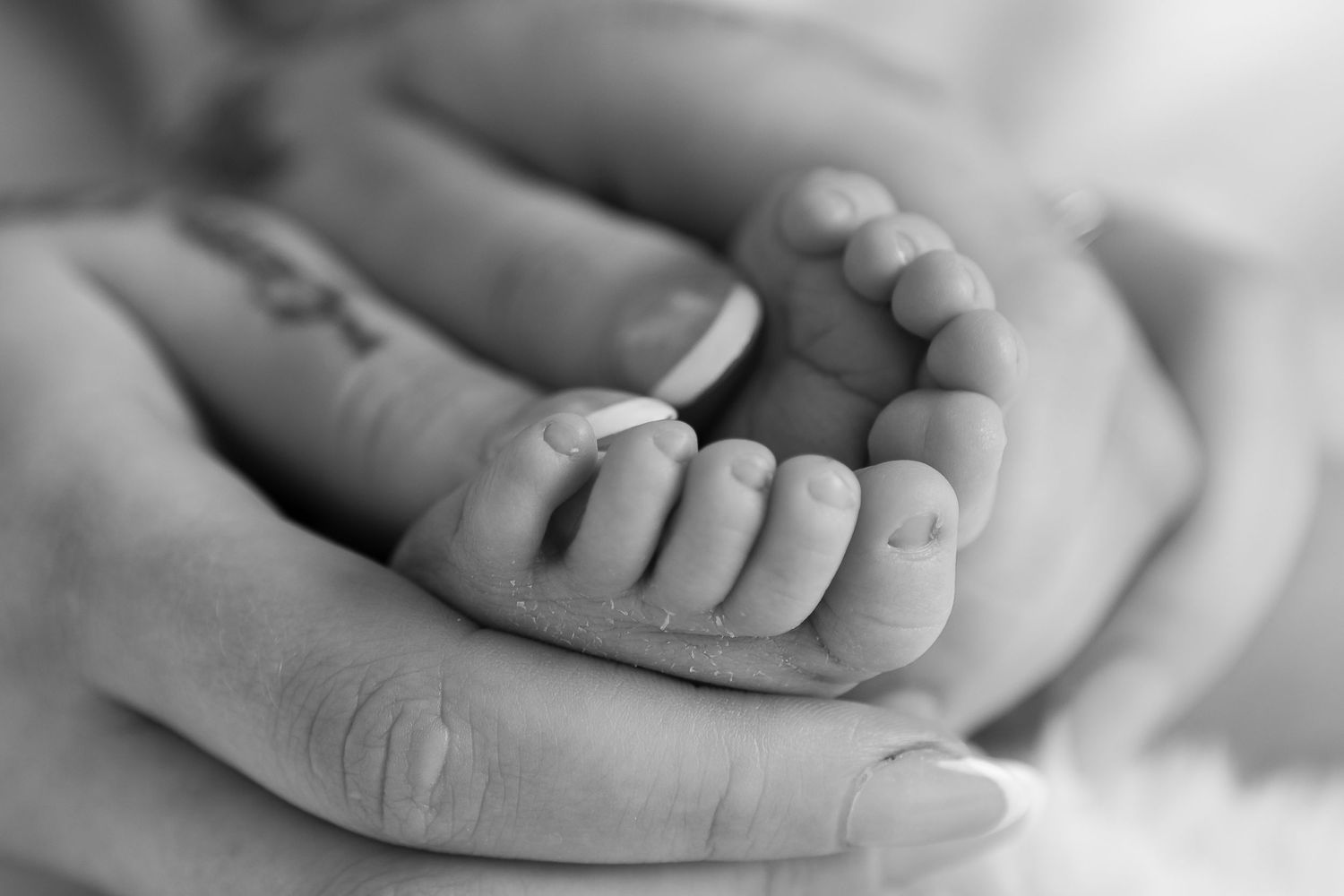 Tender black and white detail of tiny newborn feet being gently held.