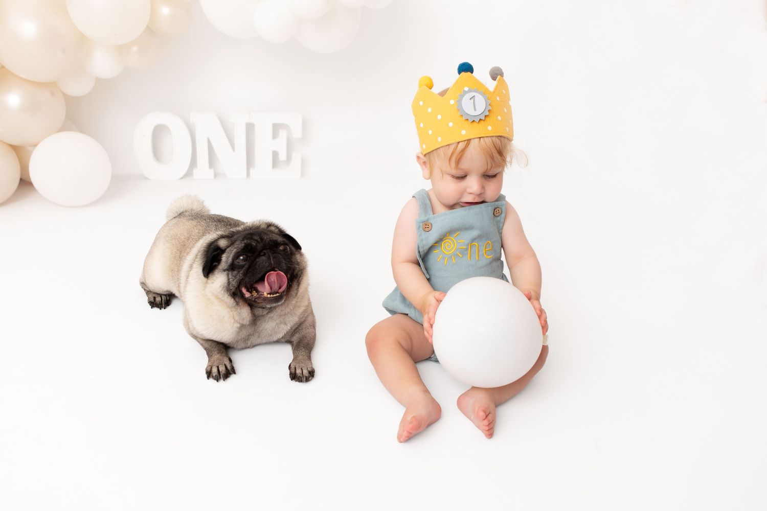 Baby in crown holds balloon beside pug dog at first birthday party with ONE sign and balloon decorations.