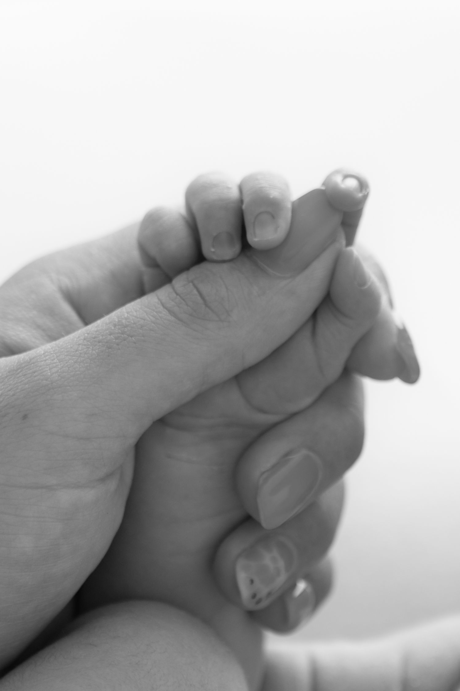 Adult hand gently holding tiny baby foot in black and white.