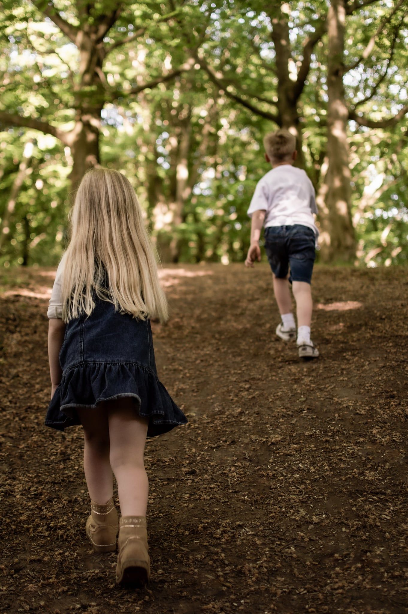 Two children walk along a sunlit forest trail surrounded by green trees.