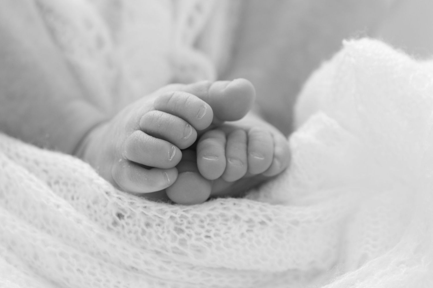 Close-up black and white image of tiny newborn baby feet wrapped in soft white lace fabric.