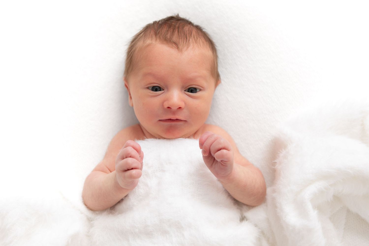 Artistic series of newborn baby portraits against white background.