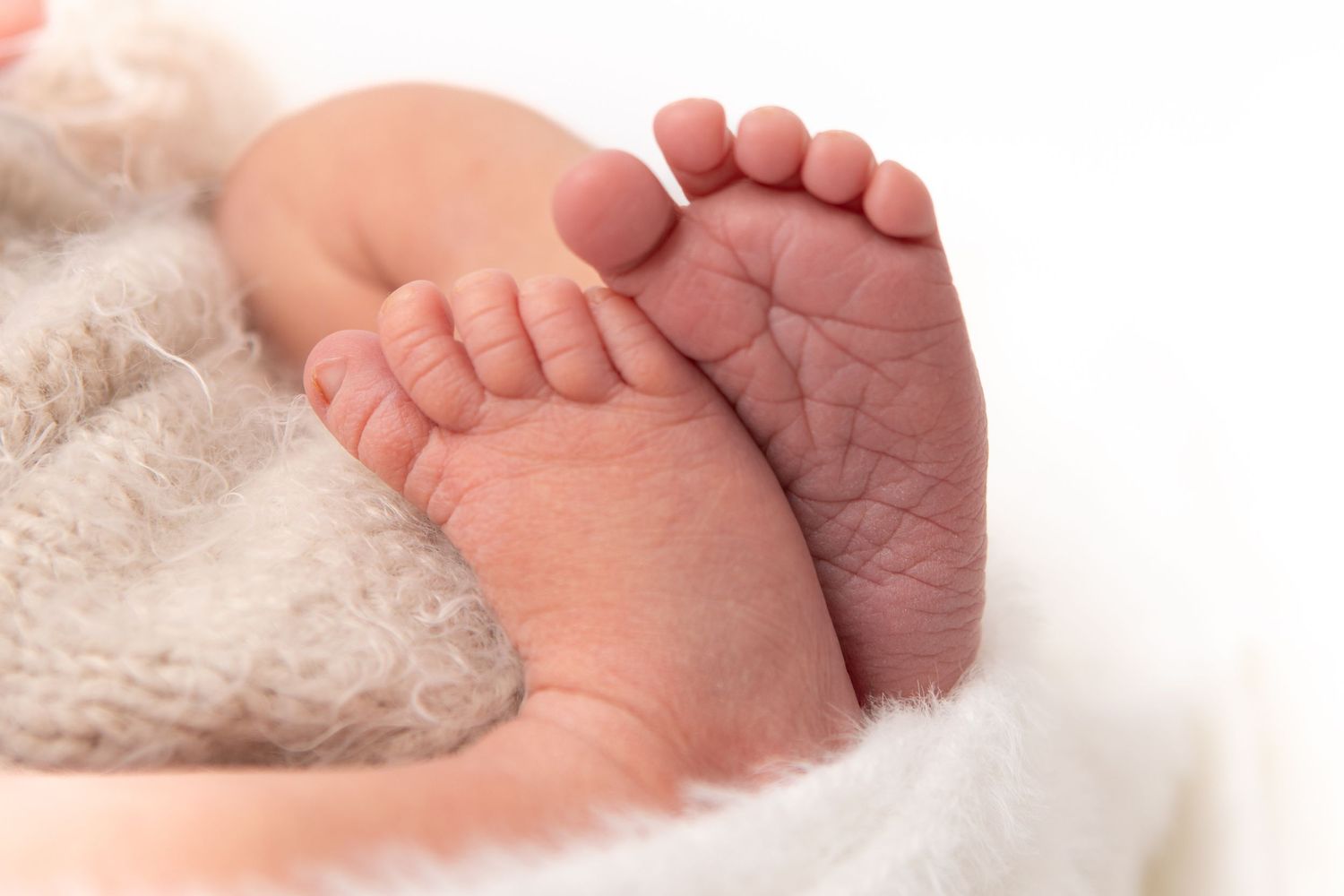 Close-up of tiny newborn feet wrapped in soft white knit fabric.