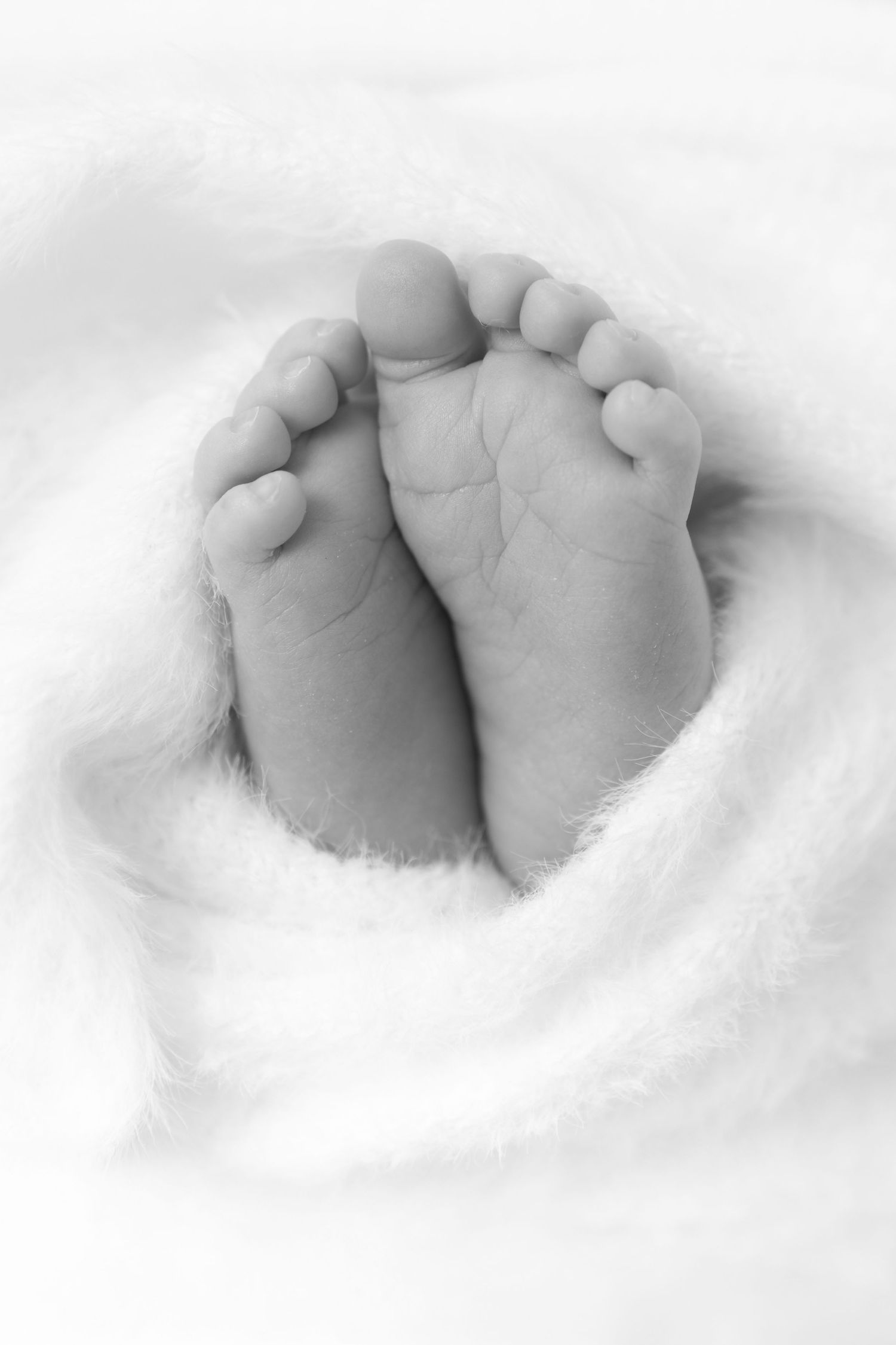 Black and white series of tiny baby feet nestled in soft white fabric.