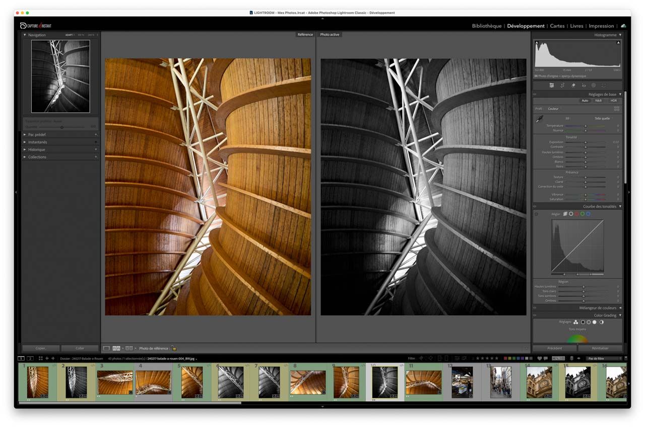 Stage Développement Photo Yvelines : Capture d'écran développement Lightroom - Comparaison de 2 photos : couleur vs noir et blanc