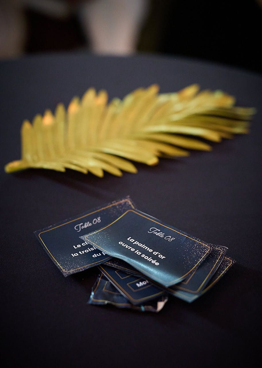 Photographe événement d'entreprise Yvelines: RG Distribution - Jeu Cinema - Soirée de fin d'année au Domaine de Bethemont - Yvelines