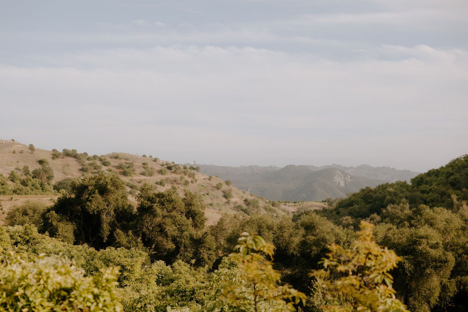 Lush green forest landscape with rolling hills and mountains under a hazy blue sky in a scenic countryside view.