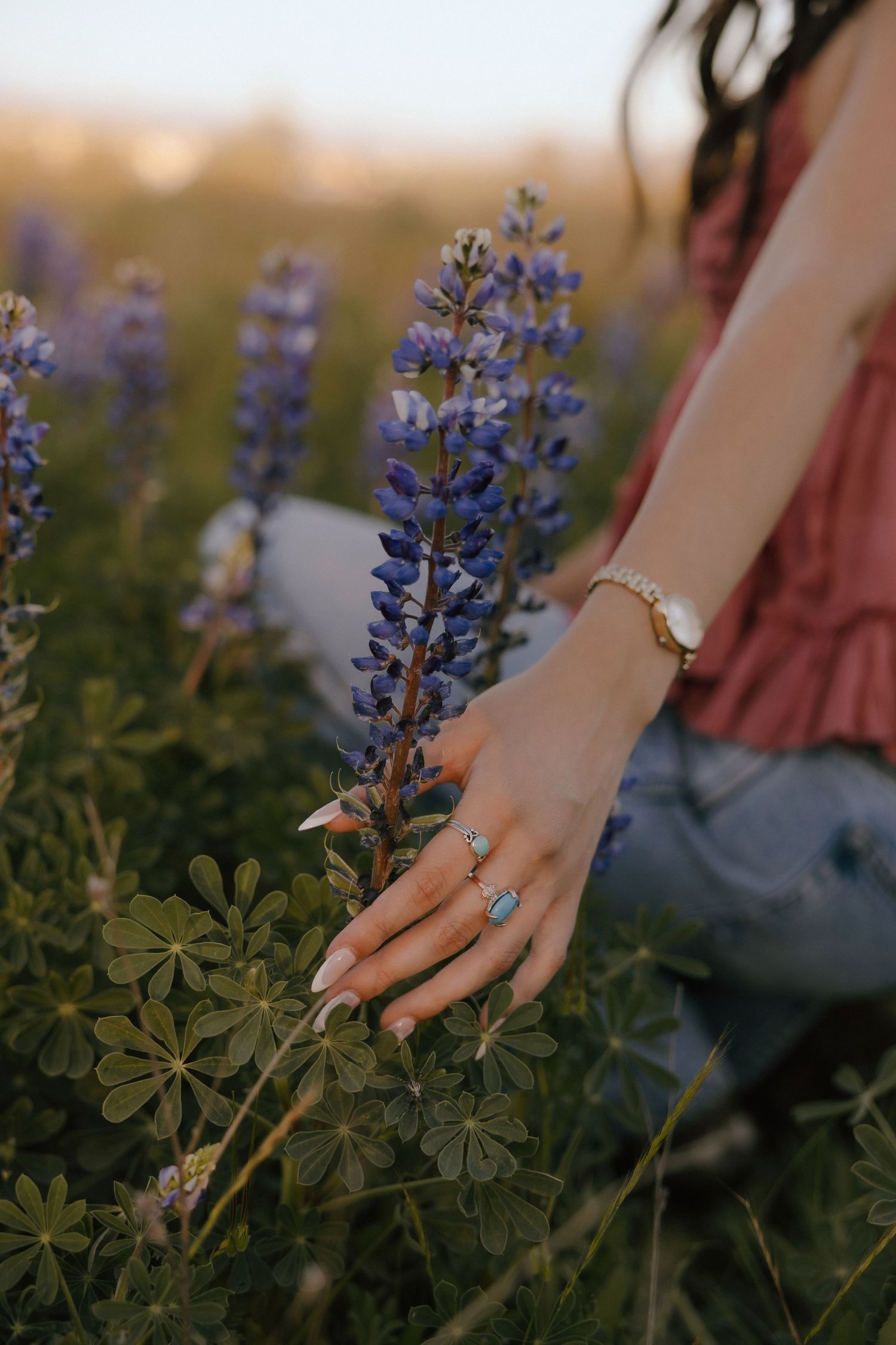 Woman's hand with turquoise ring and gold bracelet gently touching purple lupine flowers in a field at golden hour.