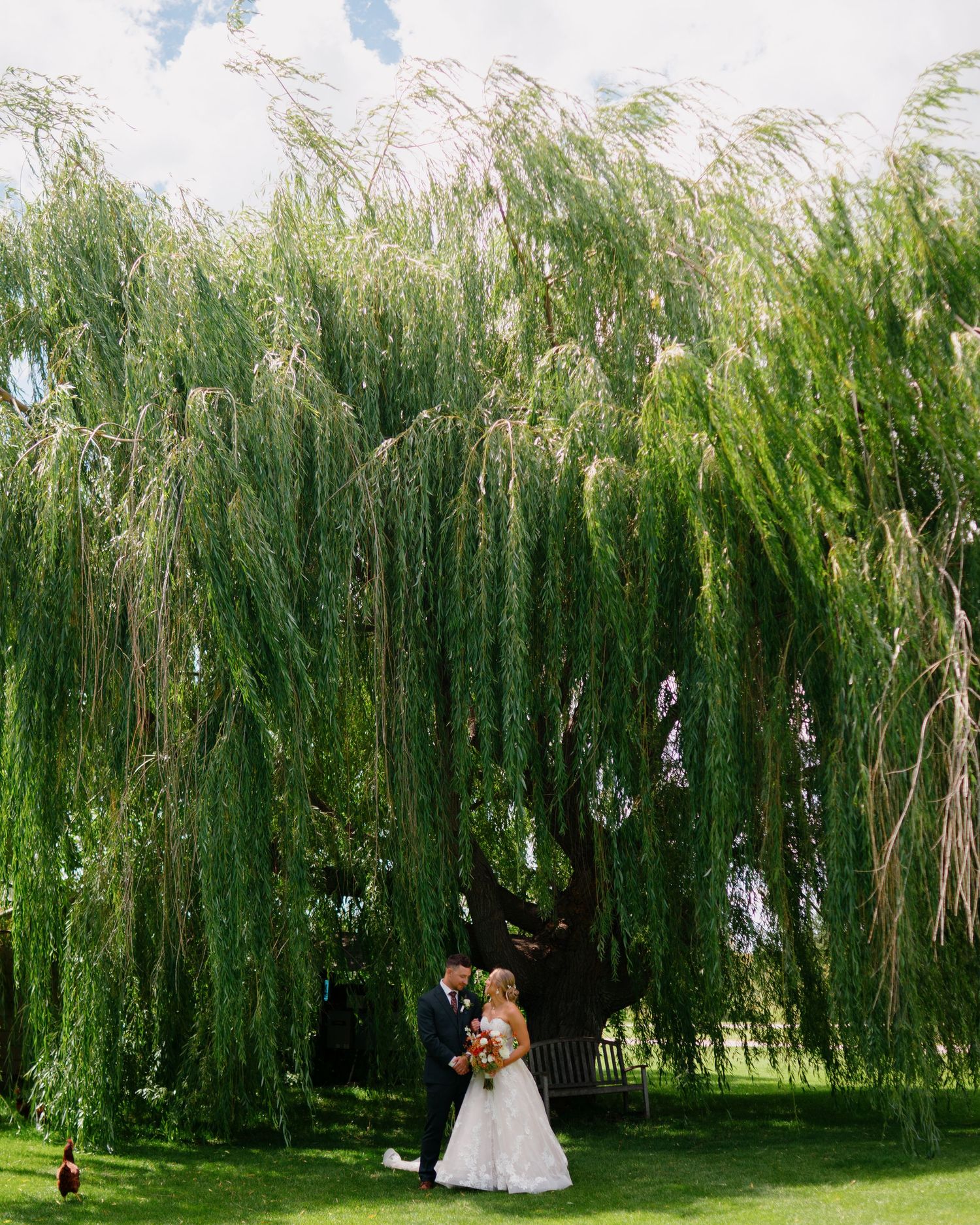 Wedding couple poses in front of cascading willow trees in a garden setting.