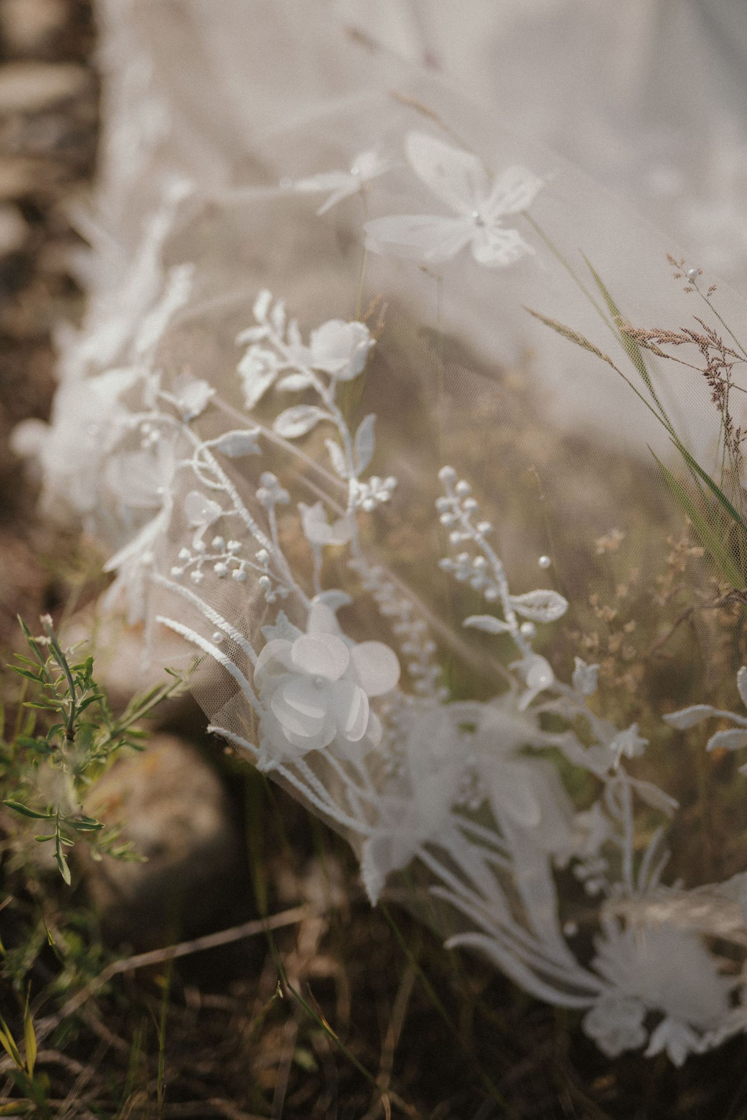 Delicate white wildflowers and grasses captured in soft focus with a dreamy, ethereal quality in nature.