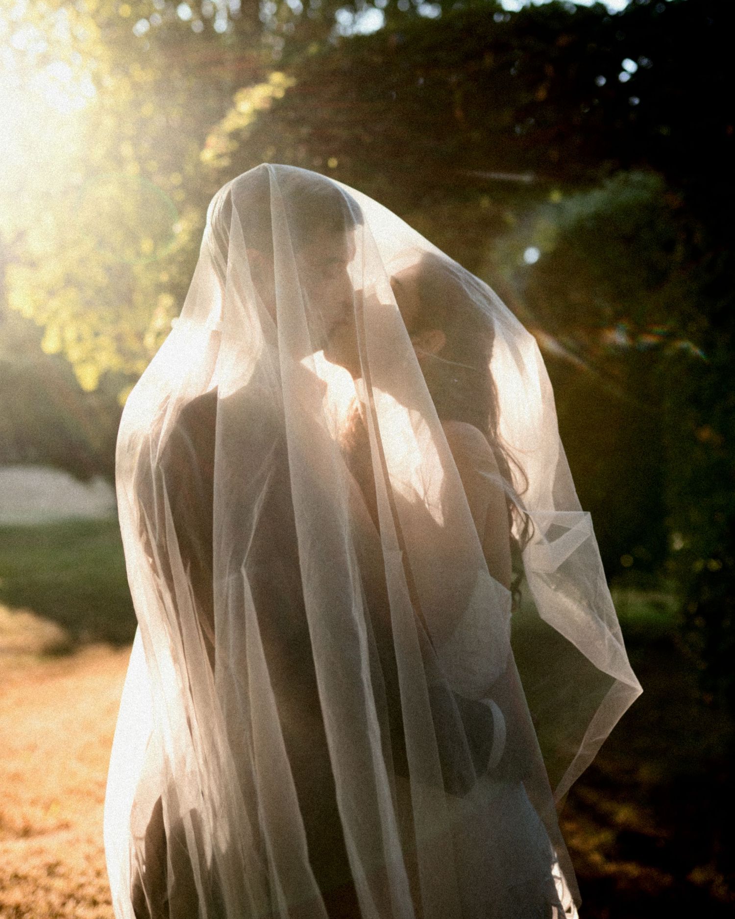 Two newlyweds share a romantic kiss beneath a flowing white veil in golden sunlight outdoors.