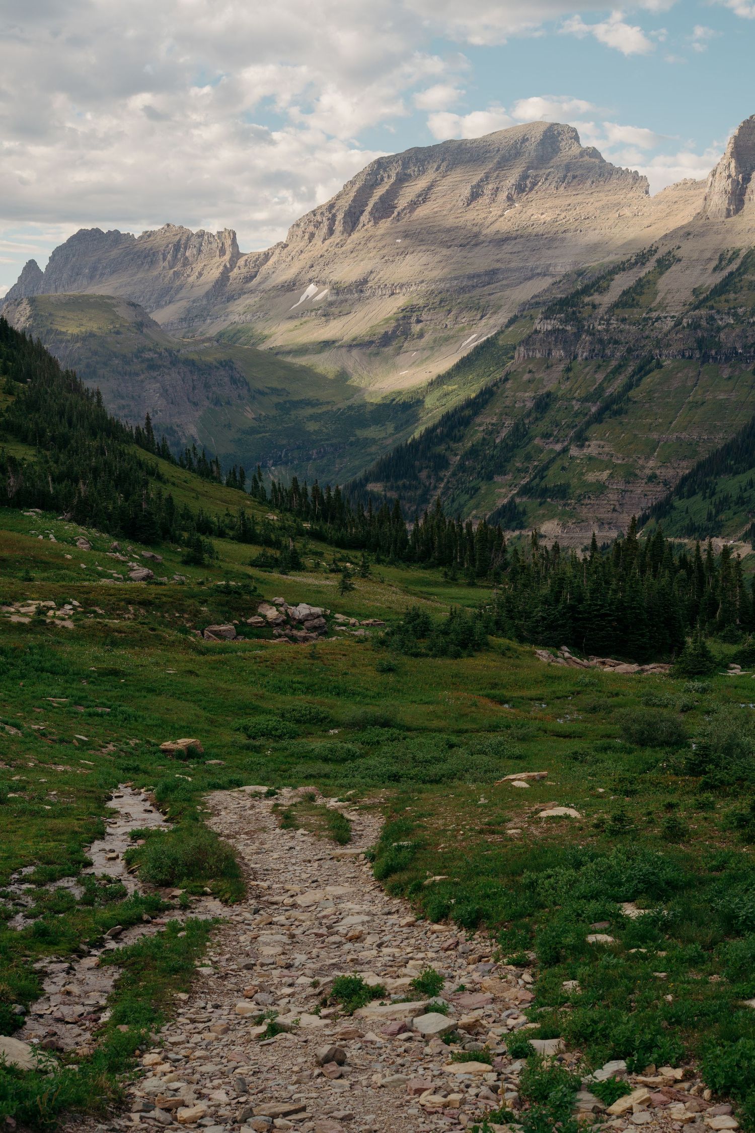 A rocky mountain trail winds through alpine meadows beneath dramatic peaks in Glacier National Park.