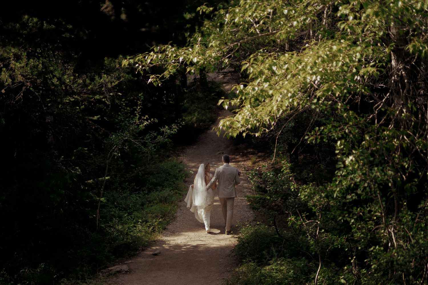 A person walking on a path through a dense, wooded area.