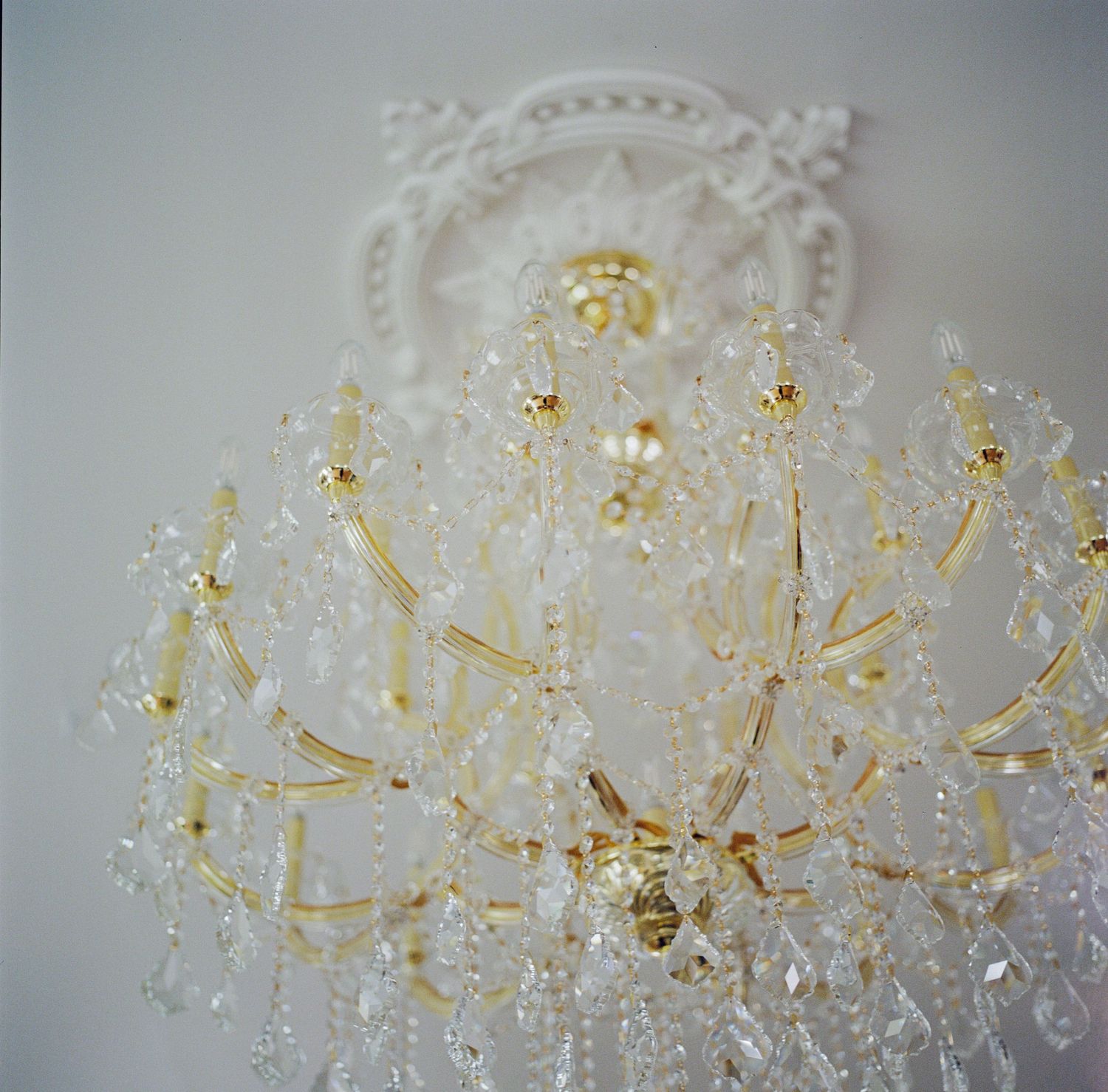 Elegant crystal and gold chandelier with intricate details hanging against a white ornate ceiling medallion.