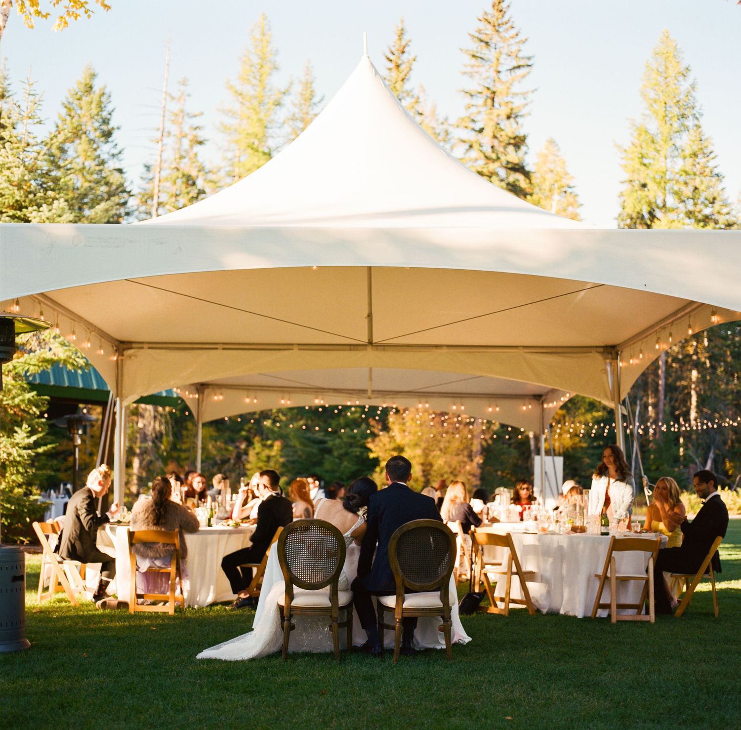 A panoramic view of an outdoor wedding reception under white tents at sunset with evergreen trees in the background.