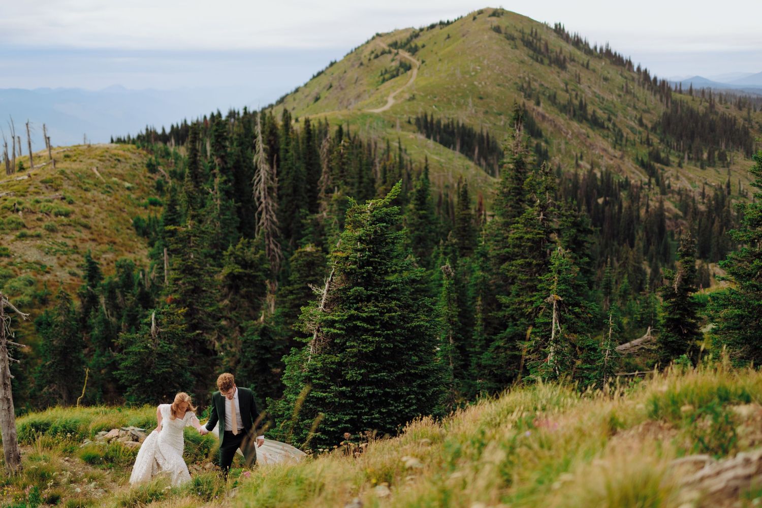 A panoramic mountain trail winds through evergreen forests and grassy slopes in the Pacific Northwest wilderness.