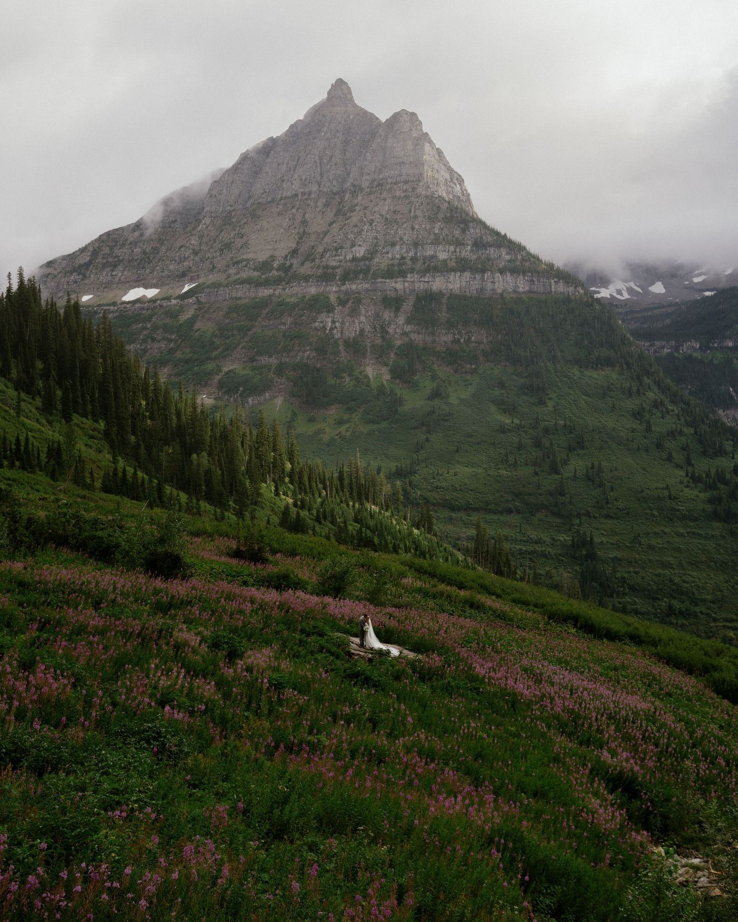 A bride in white dress stands among pink wildflowers on a mountain slope with a dramatic rocky peak in Glacier National Park.