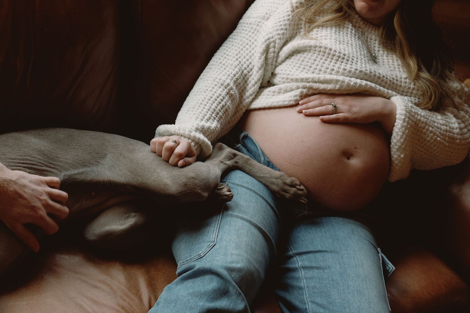 Pregnant woman in white sweater and jeans sitting on sofa with gray dog resting on her lap.