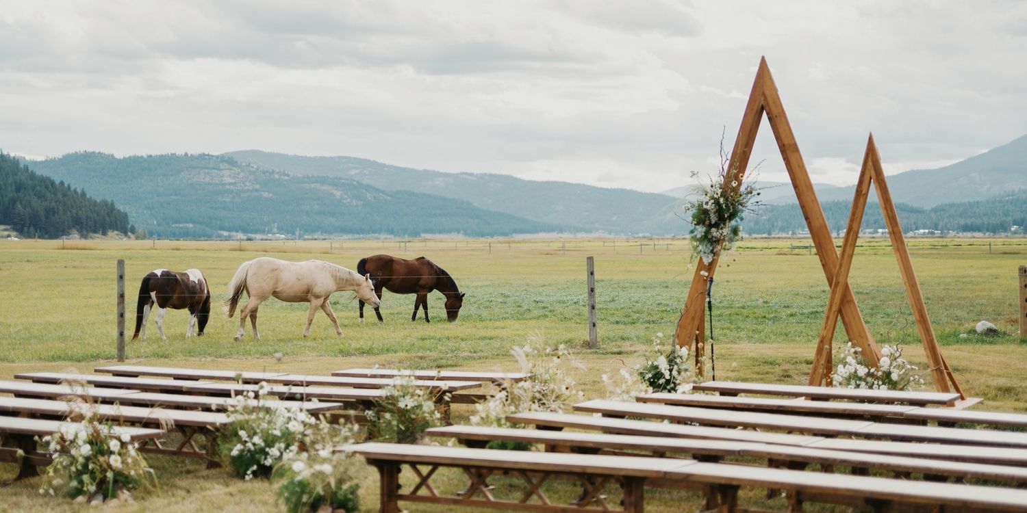 A scenic panoramic view of horses grazing in a mountain valley with wooden benches and a wedding arch in the foreground.