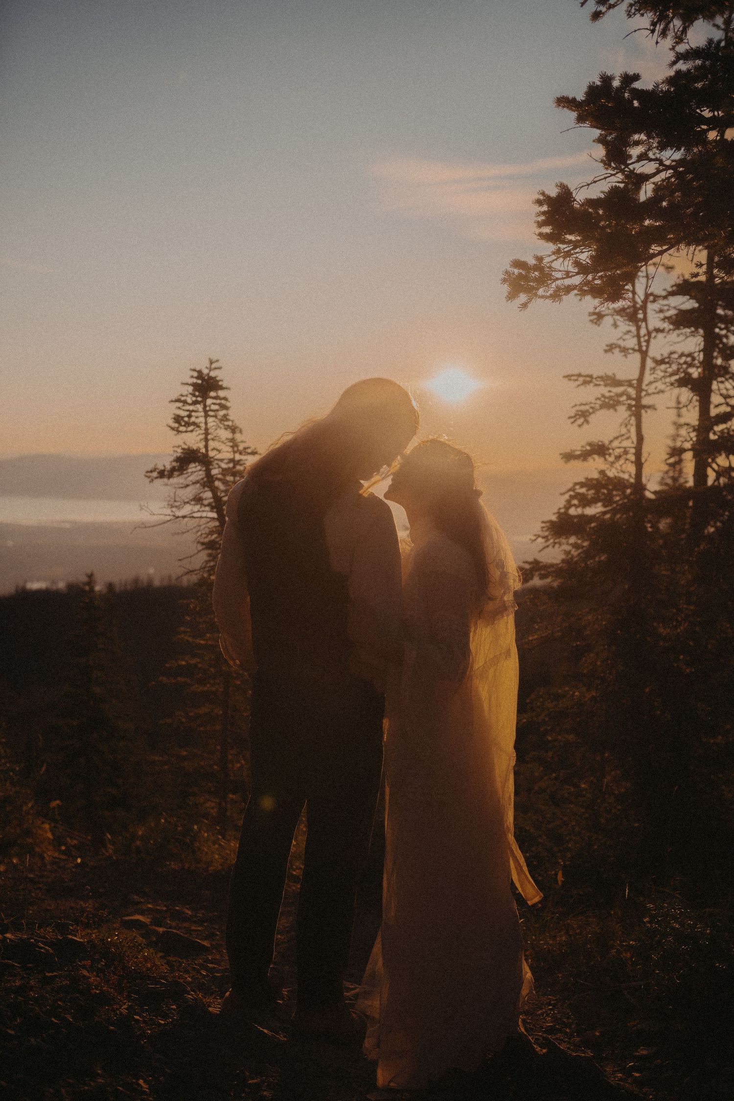 Silhouettes embrace against a golden sunset through mountain pine trees.