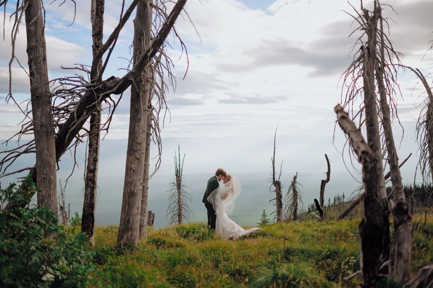 Two silhouettes embrace on a coastal hilltop surrounded by dead trees and green grass with ocean views in the distance.