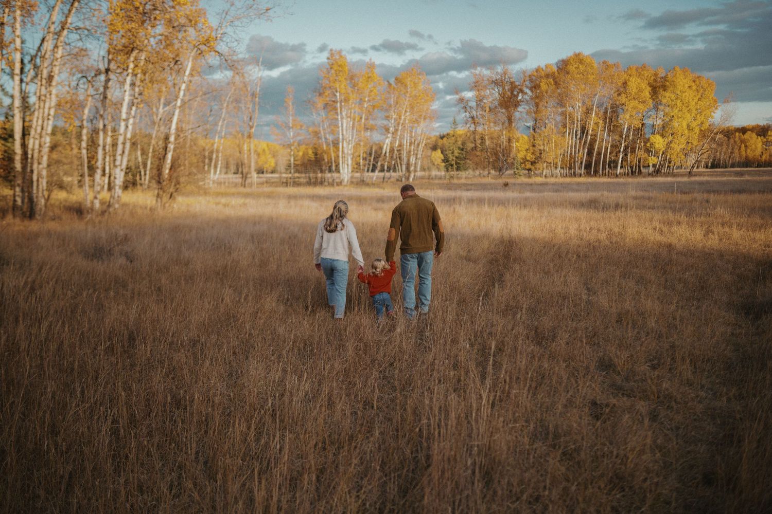 Couple walking through golden autumn aspen grove at sunset with tall birch trees and fall foliage.