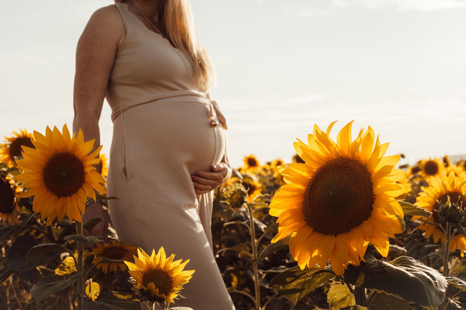 séance grossesse dans les tournesols
