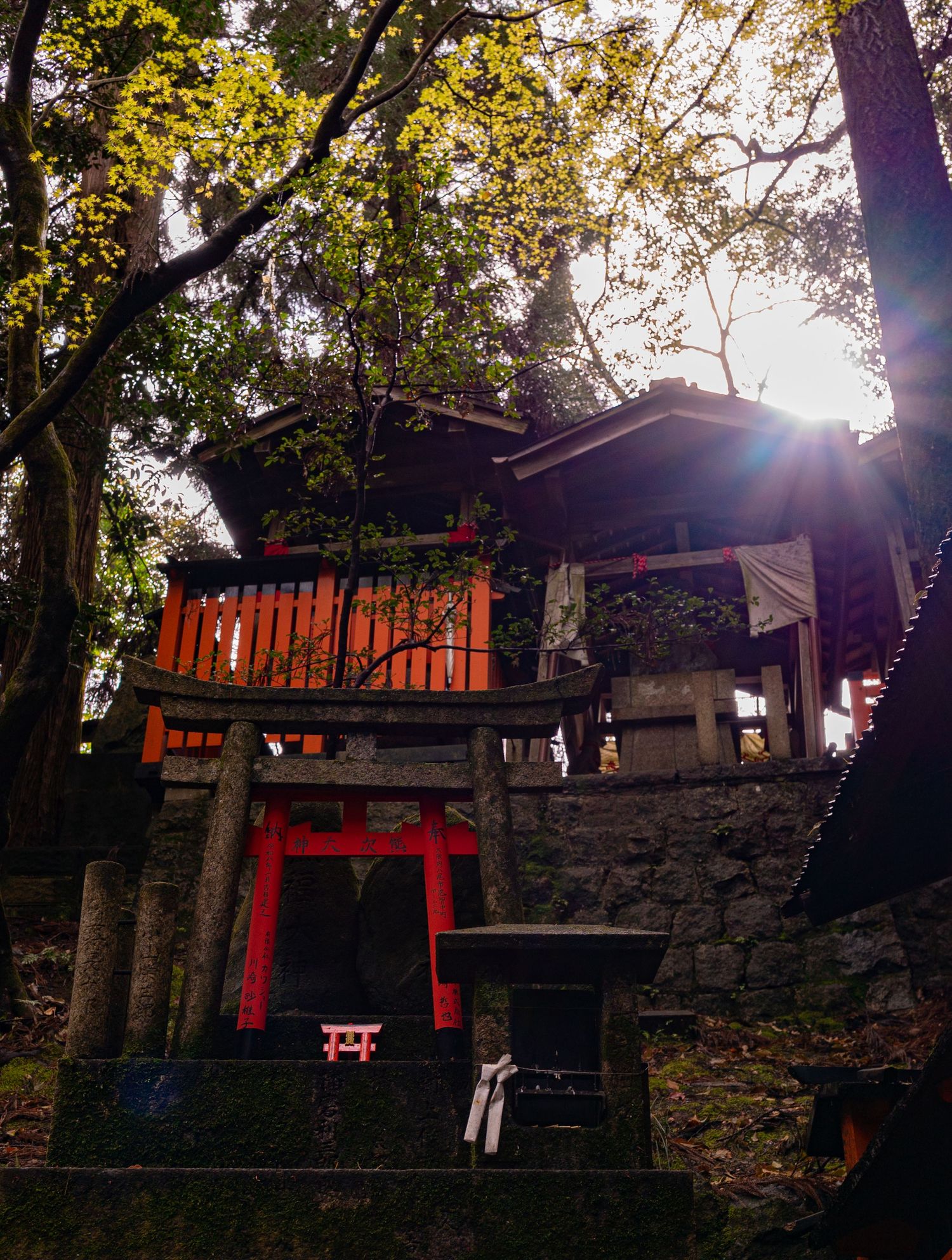 a japanese shrine at golden hour with mini orange torii gates