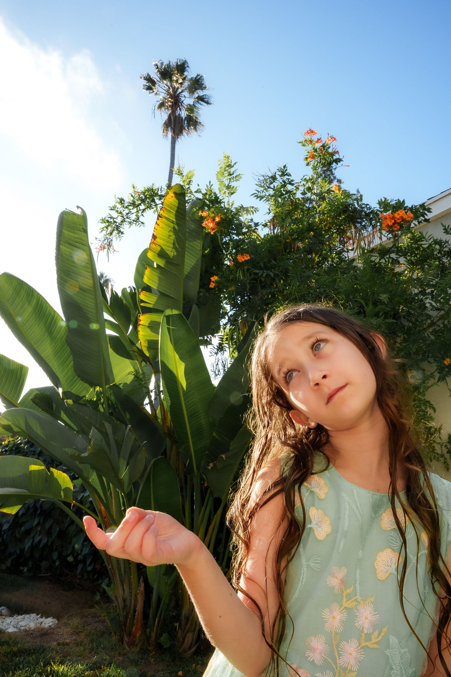 Los Angeles Family Photographer