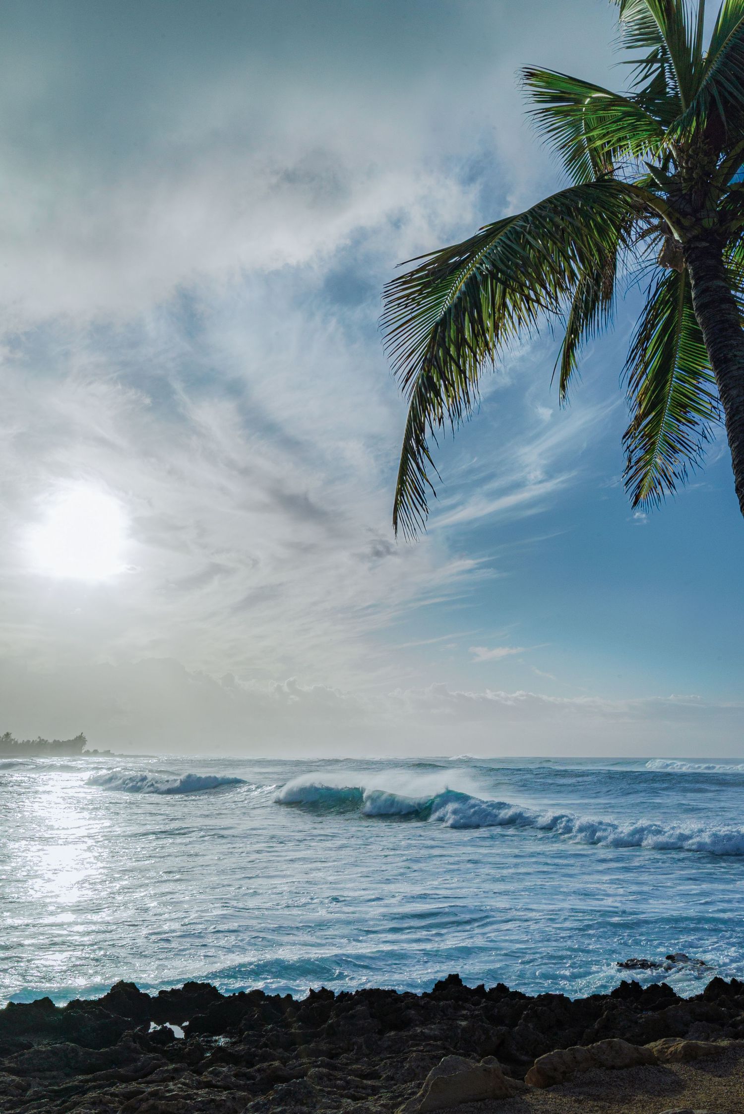a landscape photo of the ocean and the setting sun in Hawaii with a palm tree in the foreground