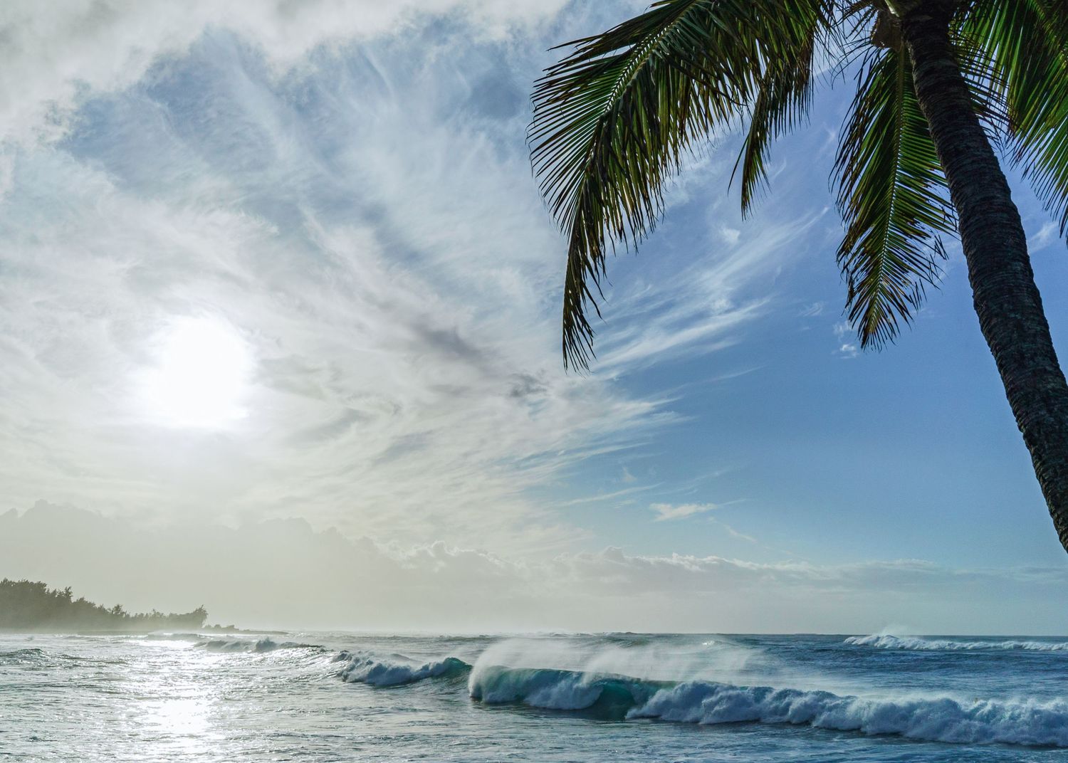 a landscape photo of the ocean and the setting sun in Hawaii with a palm tree in the foreground