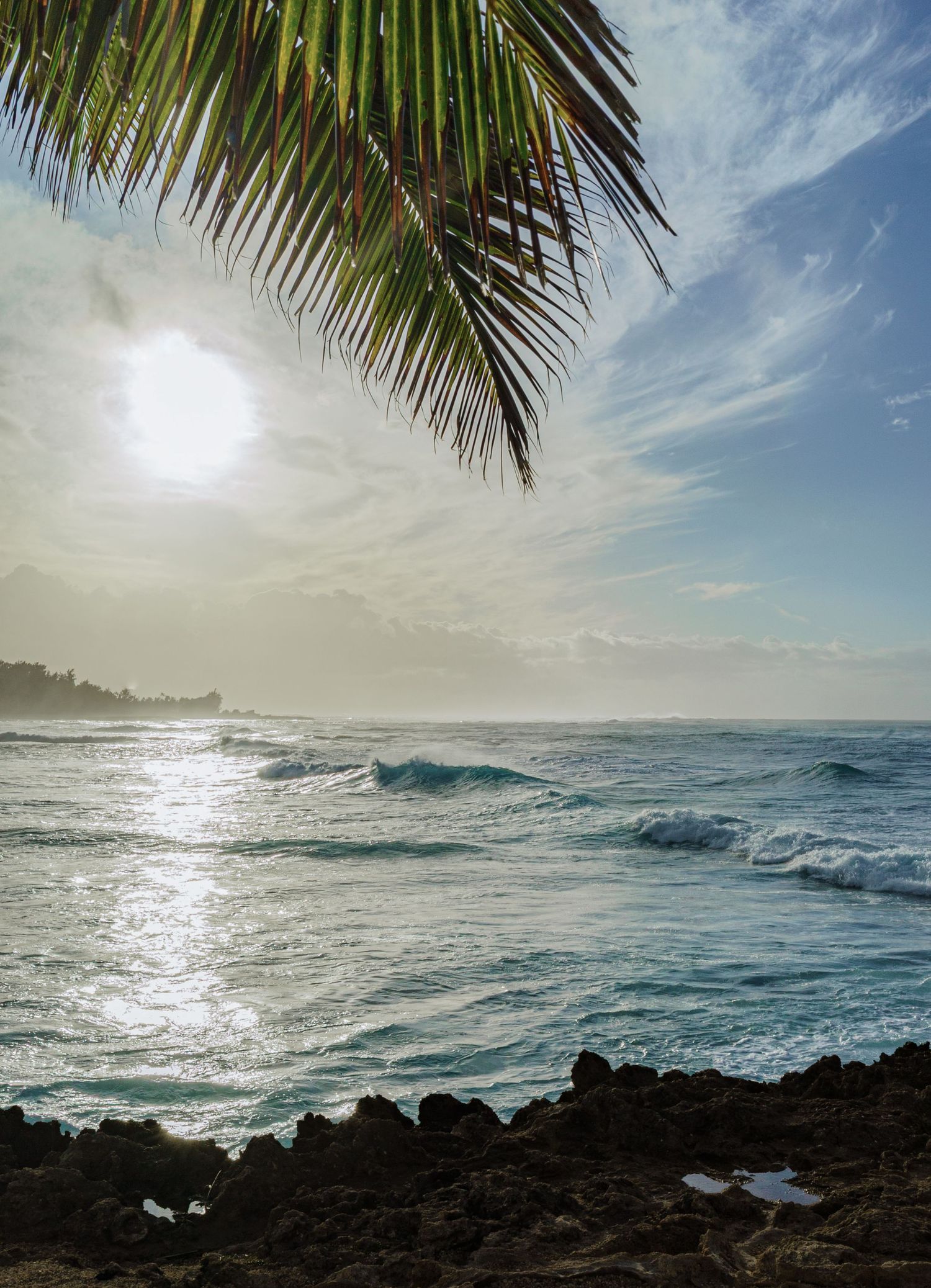 a landscape photo of the ocean and the setting sun in Hawaii with a palm tree in the foreground
