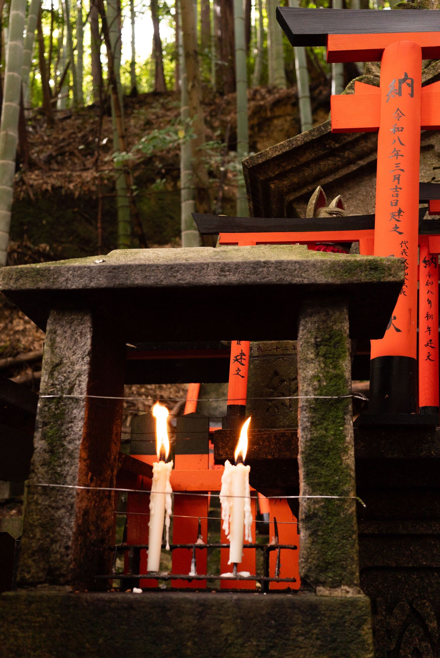 two candles lit at an ancient sacred shrine in Kyoto, Japan, surrounded by a bamboo forest