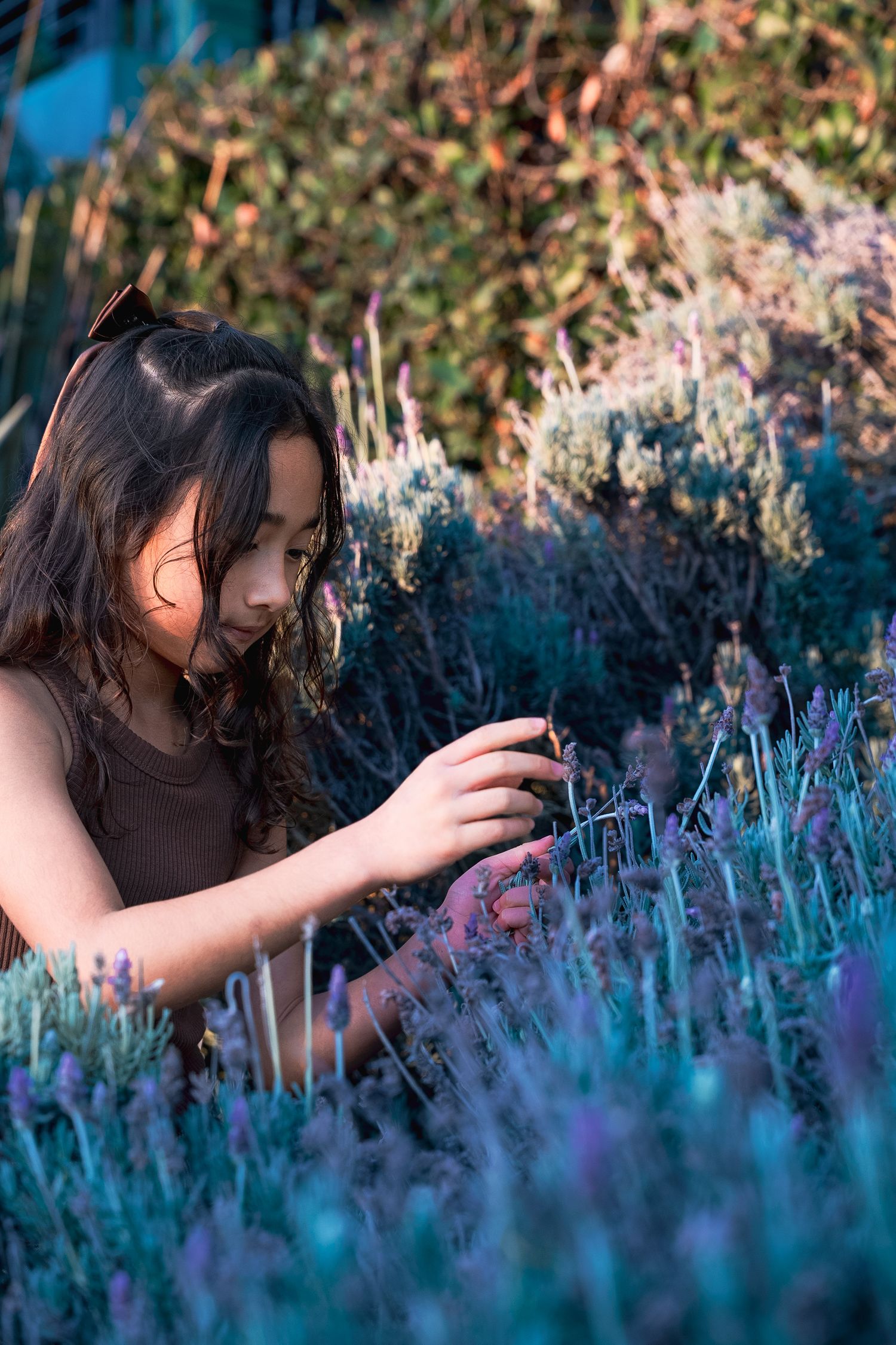 Los Angeles Family Photographer