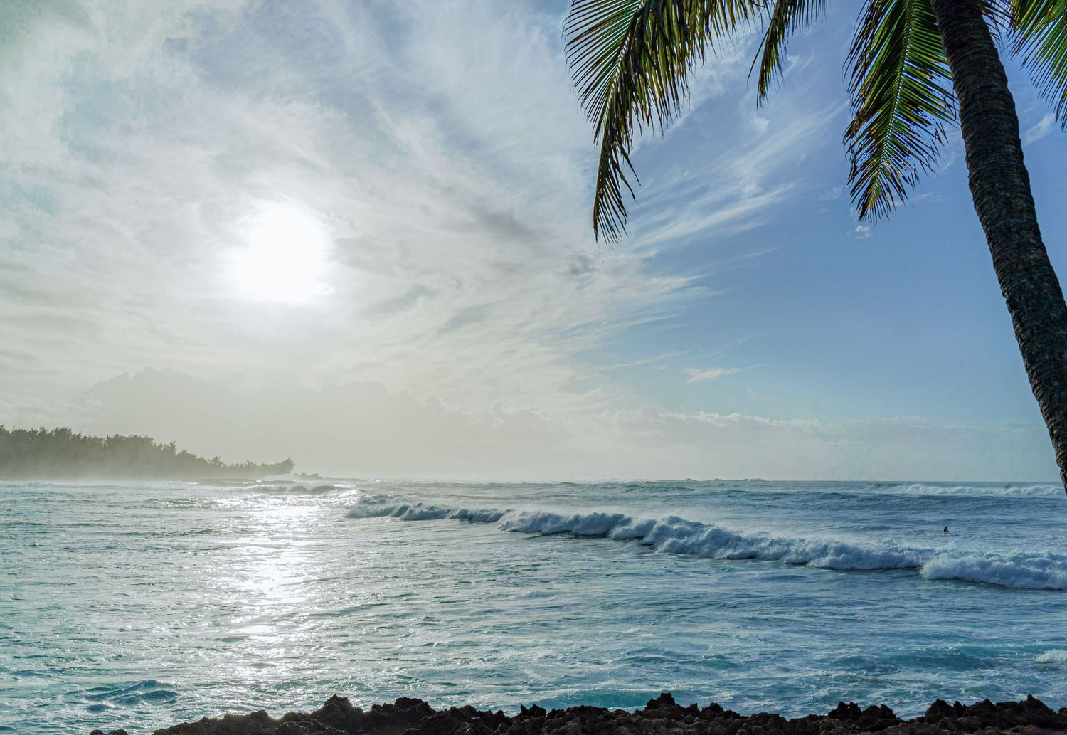 a landscape photo of the ocean and the setting sun in Hawaii with a palm tree in the foreground