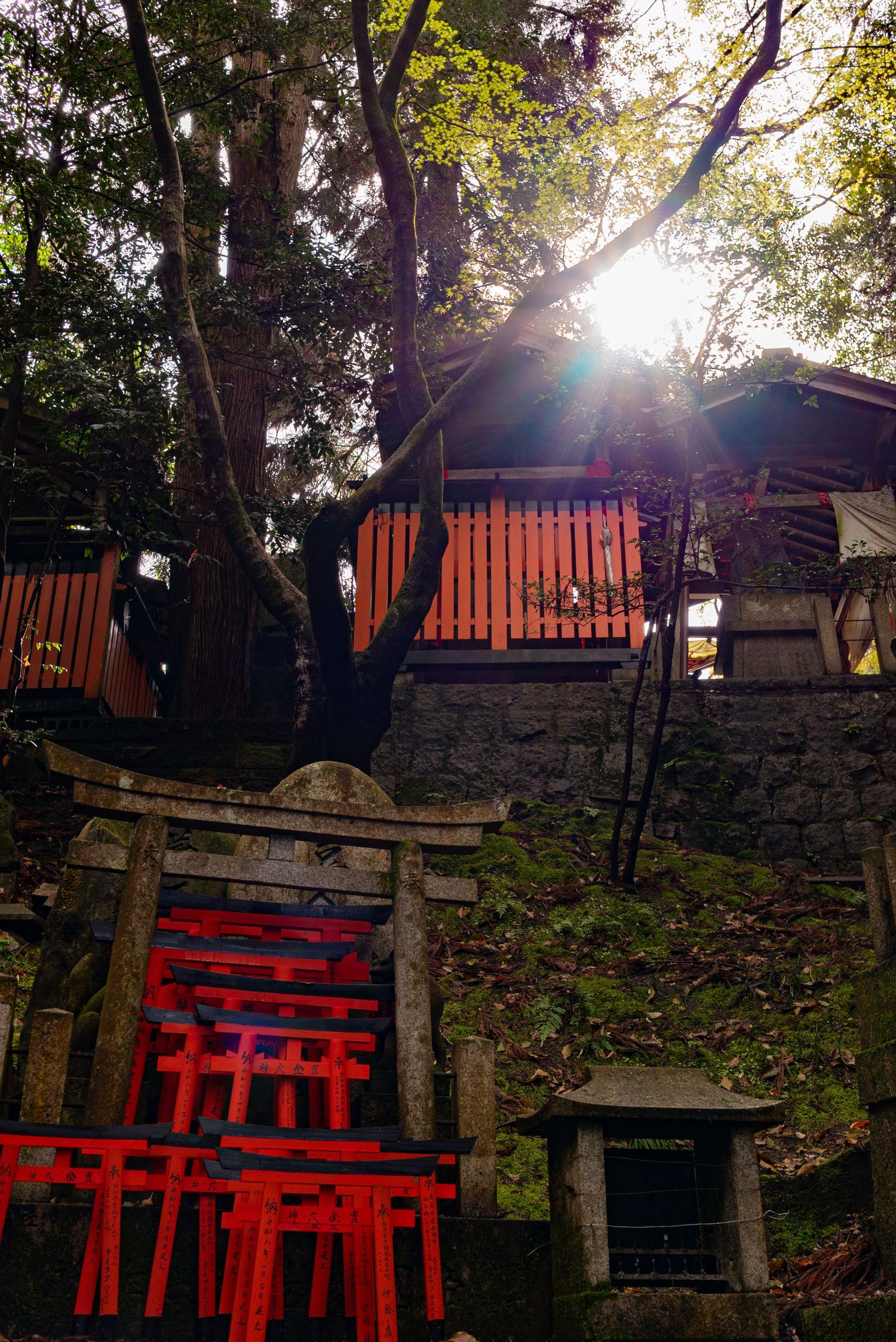a sacred shrine at golden hour at the Torii gates in Kyoto, Japan