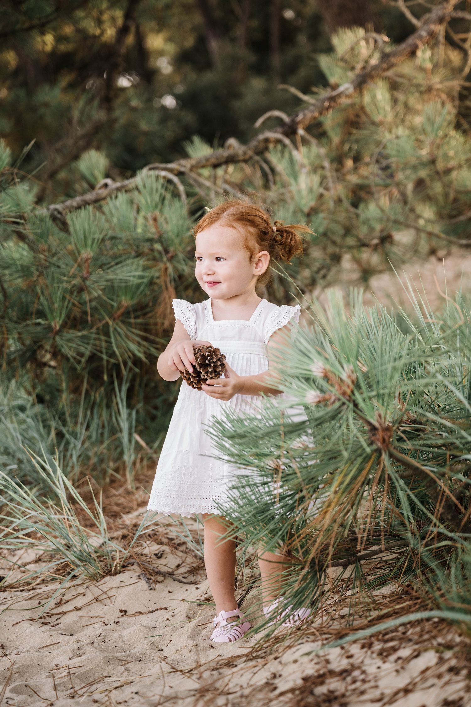 A young child in a white lace dress explores a pine forest while holding a pinecone on a sunny day.