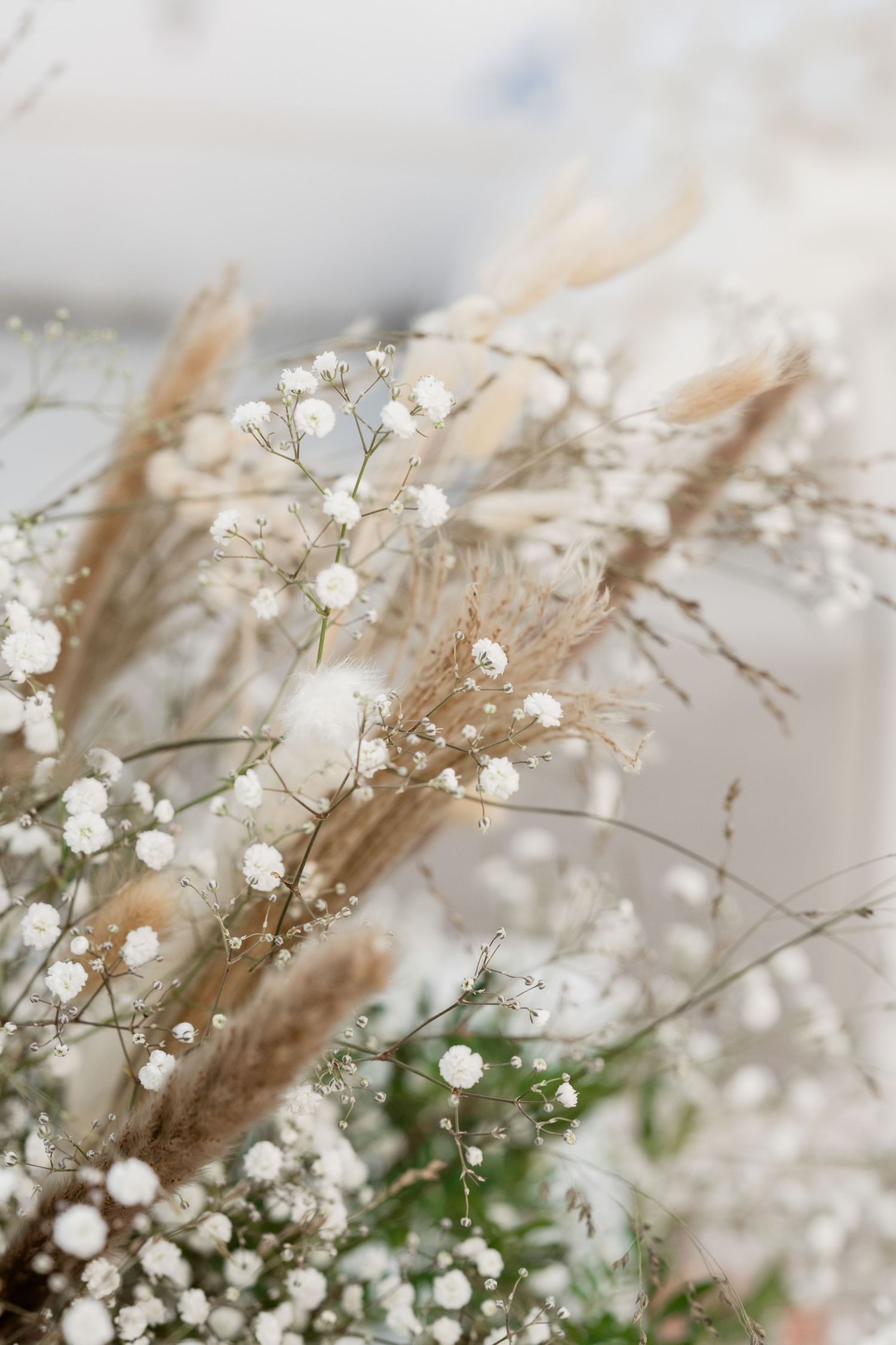 Delicate baby's breath flowers and dried pampas grass in soft natural light.