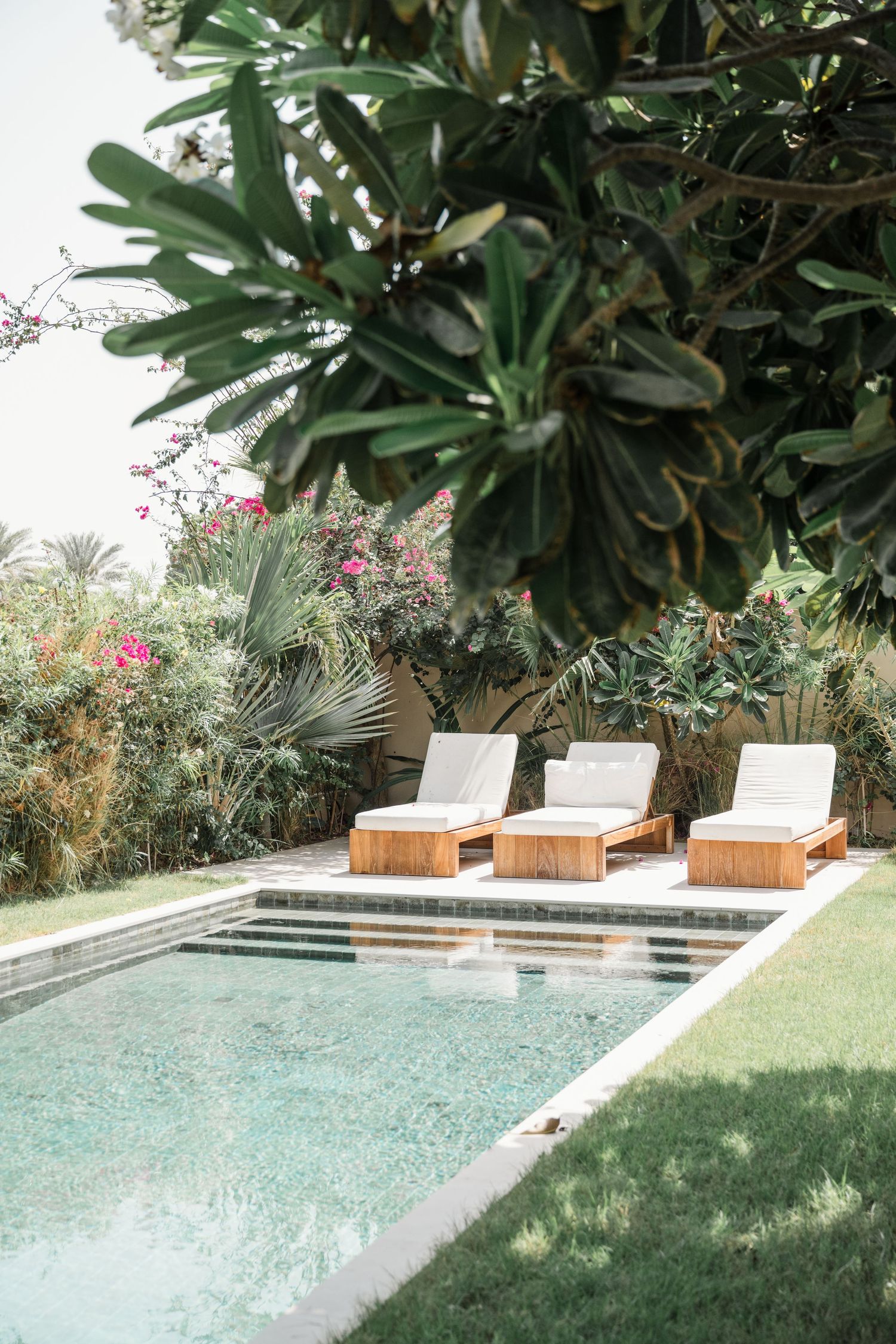 Modern rectangular swimming pool with wooden lounge chairs and lush tropical landscaping in a backyard setting.