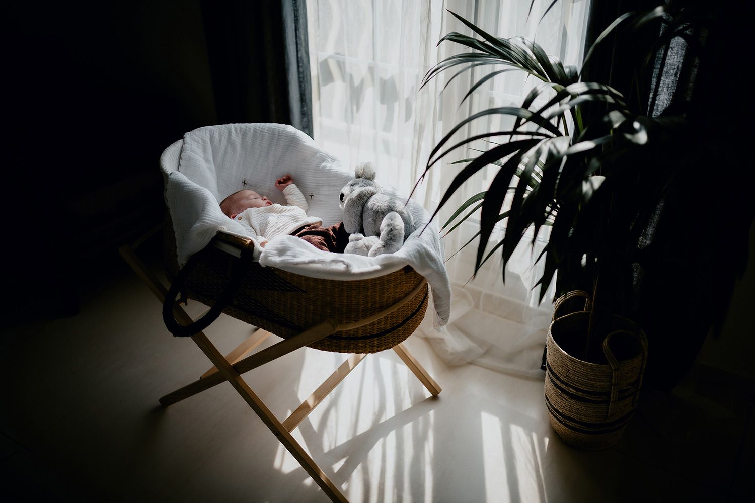 Sunlight casts dramatic shadows through window blinds onto white bedding and indoor plants in a cozy bedroom setting.