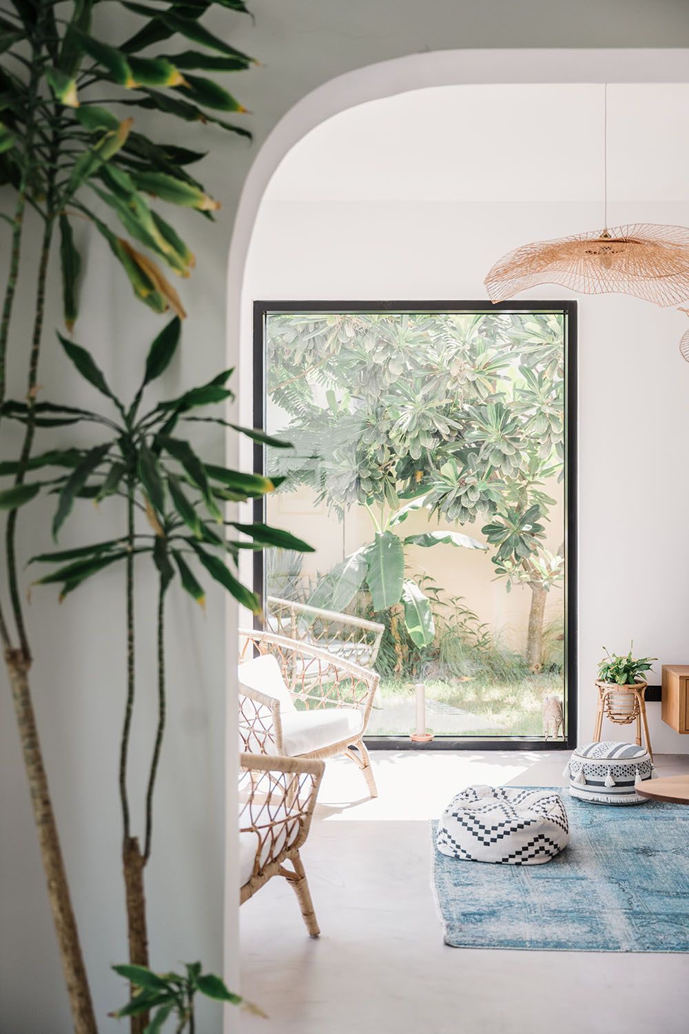 Bright living room with indoor plants, large windows, and blue area rug creating a natural atmosphere.