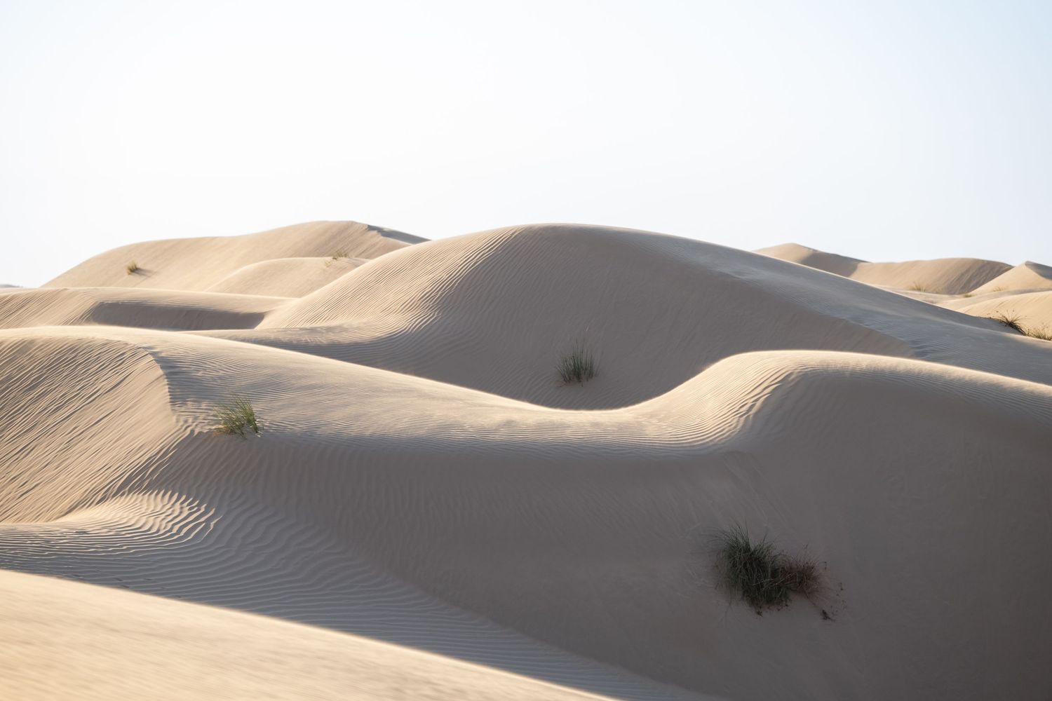 Engagement photoshoot desert Dubai Abu Dhabi Celine Grassy Photography