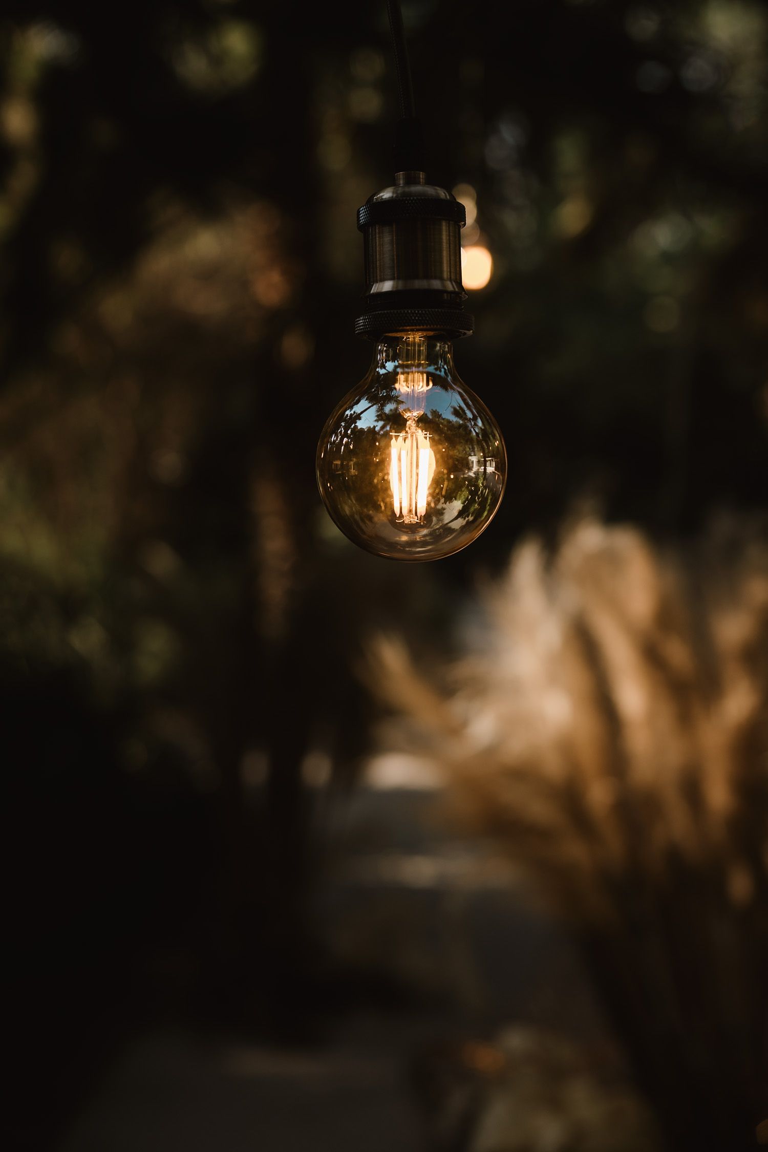Vintage Edison bulb pendant lights creating a romantic ambiance in an outdoor setting.
