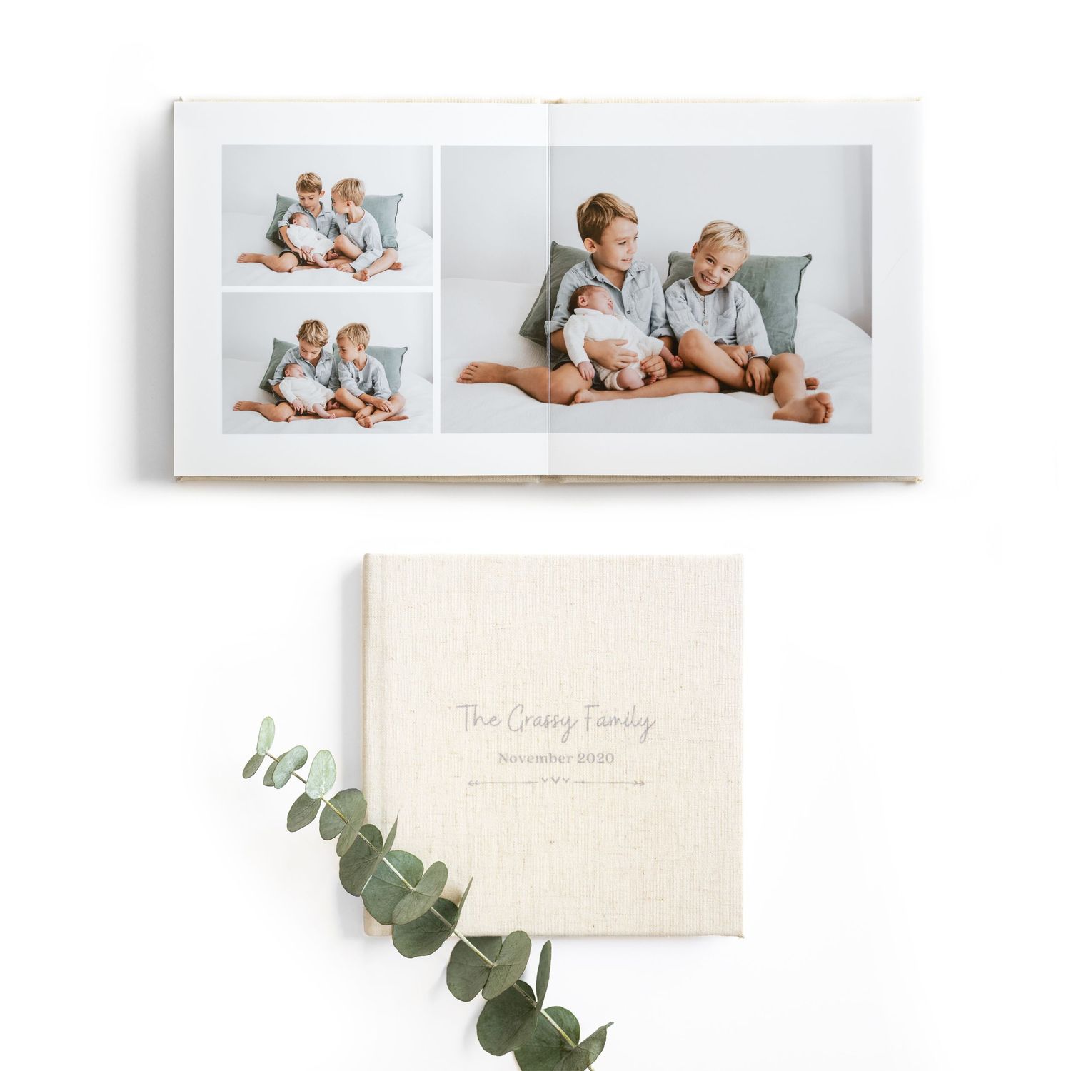 A modern wall display featuring a premium family album and eucalyptus leaves arranged in a minimalist style.