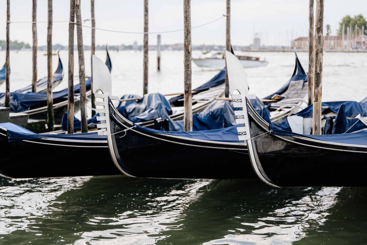 Row of traditional blue and black gondolas moored in Venice canal.