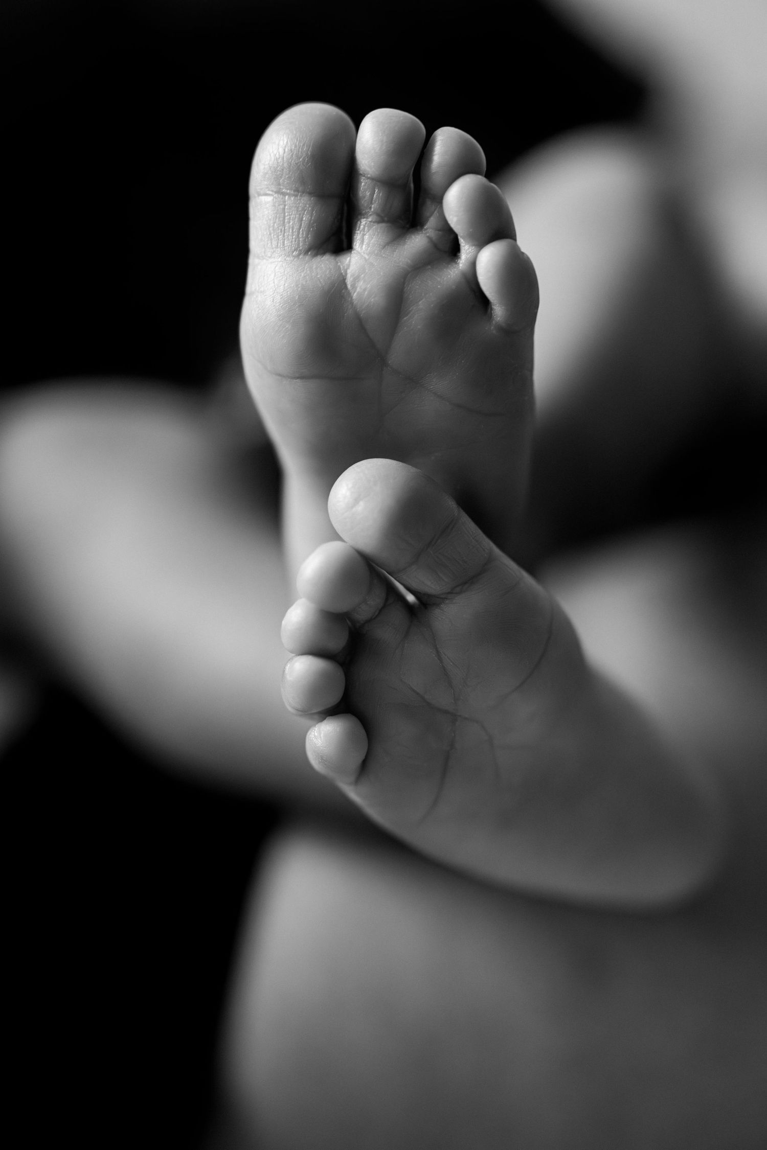 Black and white close-up photo of newborn baby feet, showing tiny toes and delicate skin texture.