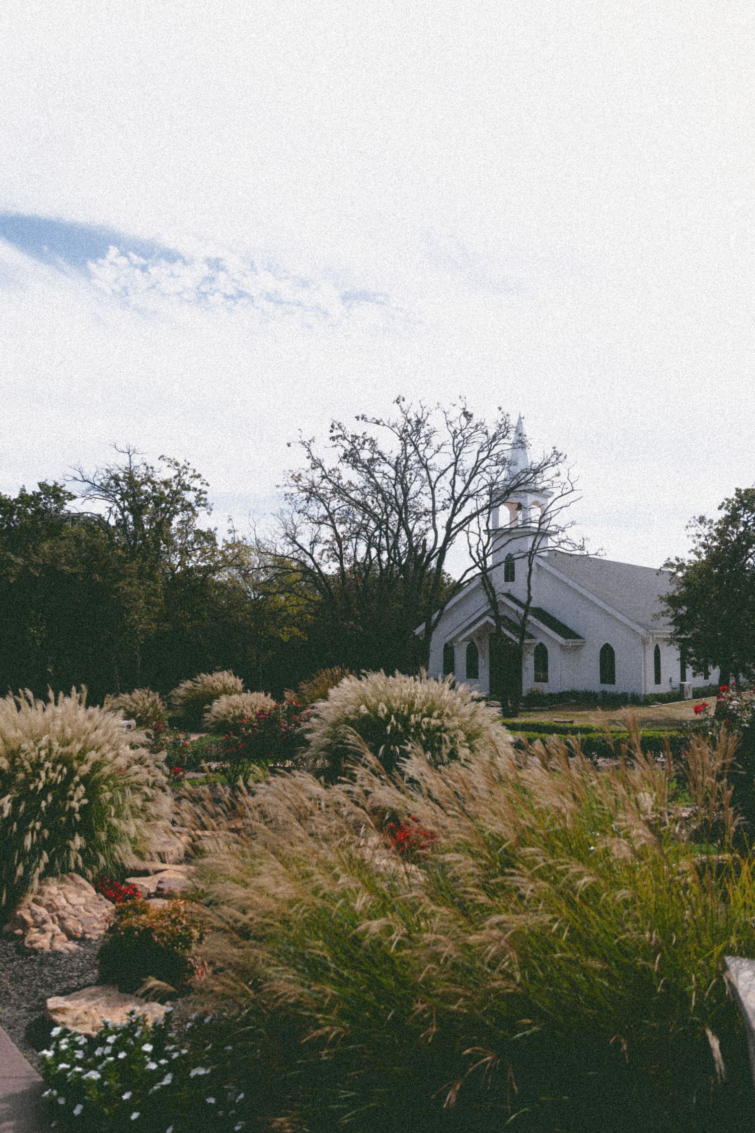 A white country church sits on a hill surrounded by tall ornamental grasses swaying in the breeze.