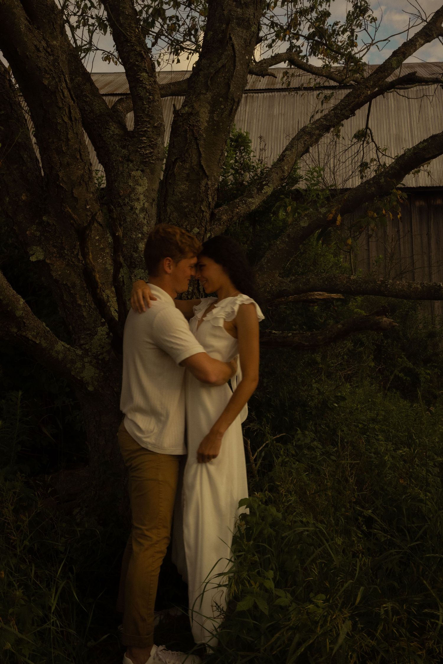 Two people share an intimate moment under a large tree at dusk.