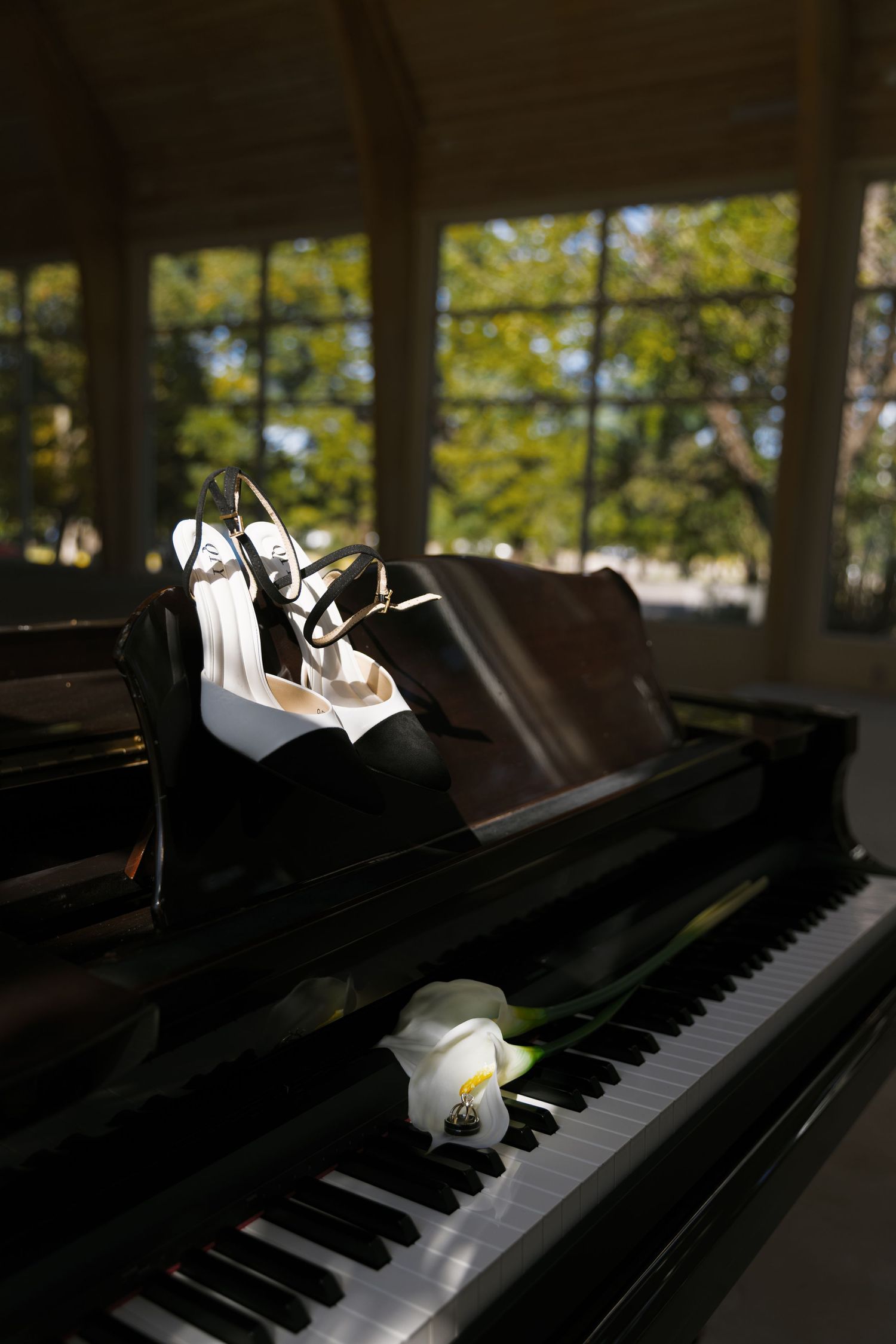 A white high heel shoe and orchid flower rest elegantly on top of a black grand piano keys in natural lighting.