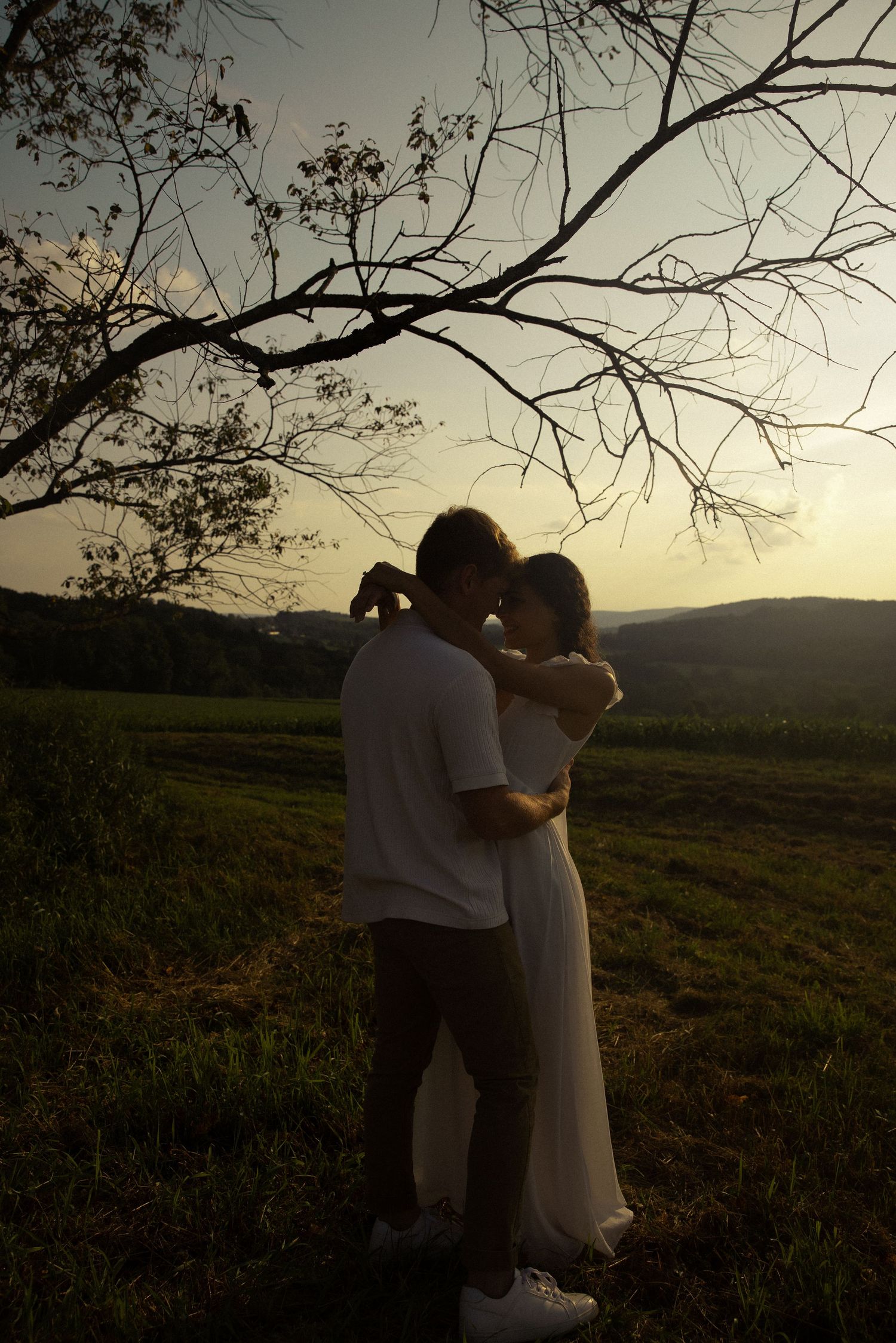 Couple embracing in a field at sunset with bare tree branches overhead.
